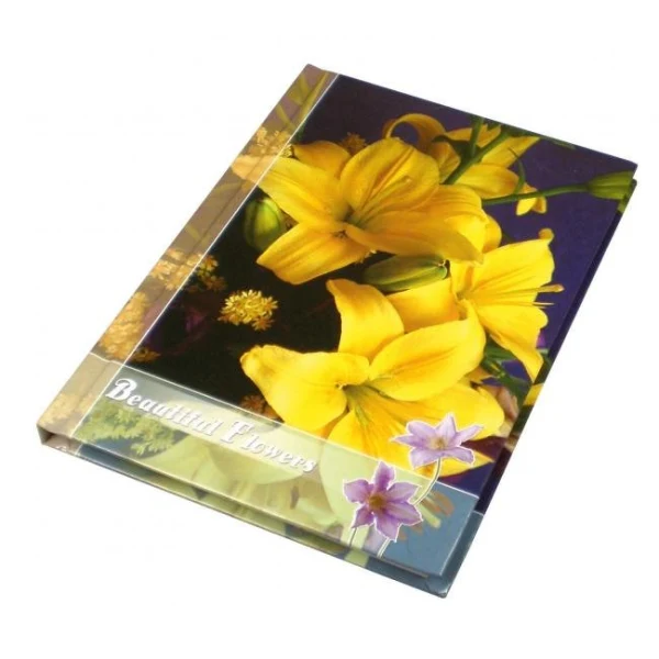 Záznamová kniha A4 100 listov linajková 