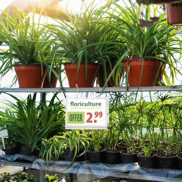 Vodeodolné vrecko s úchytkami Durable A5 5 ks Vodeodolné vrecko formát A5